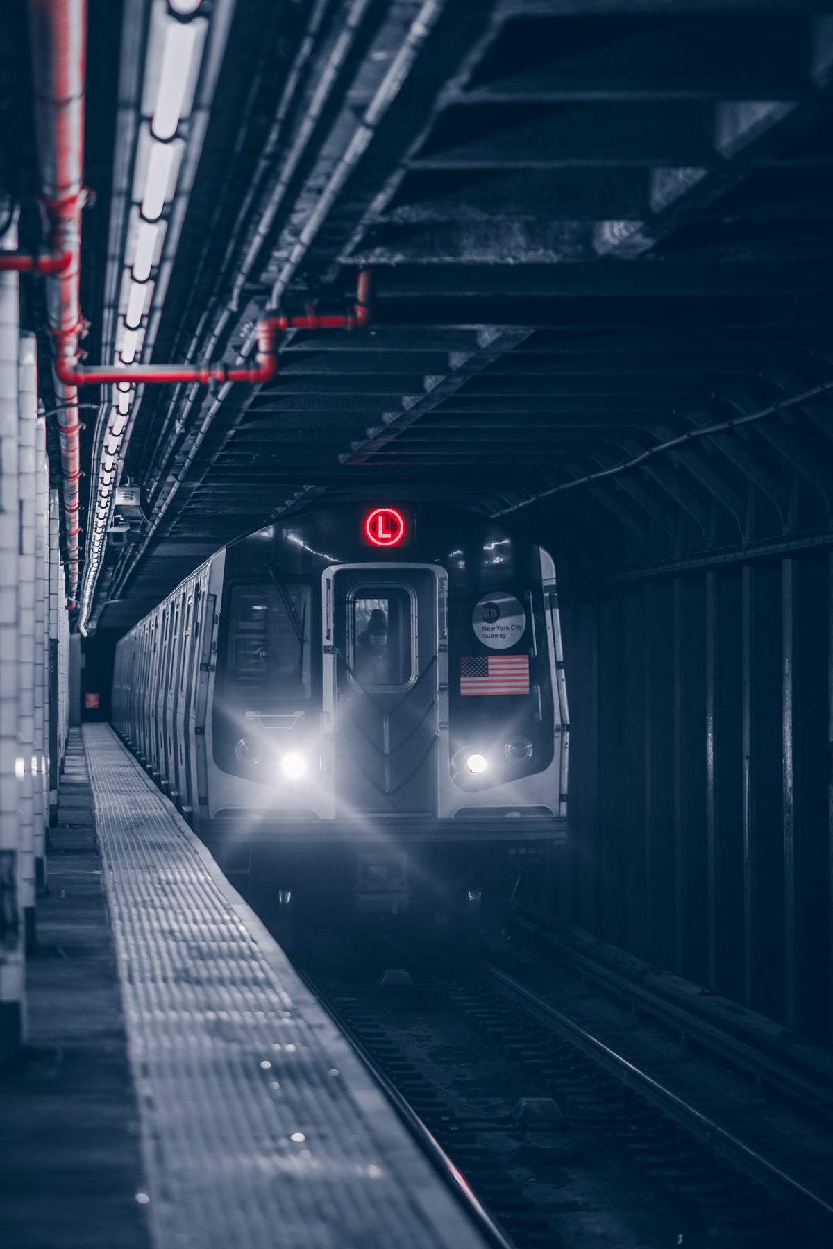 The L