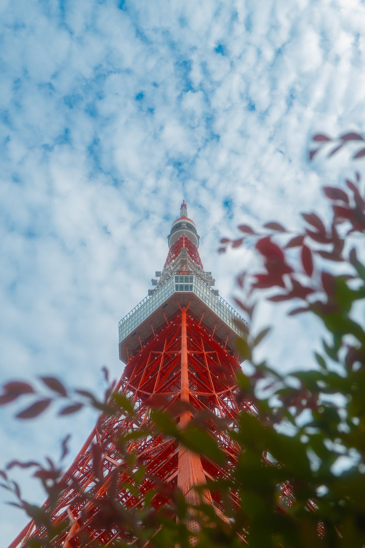 Tokyo Red