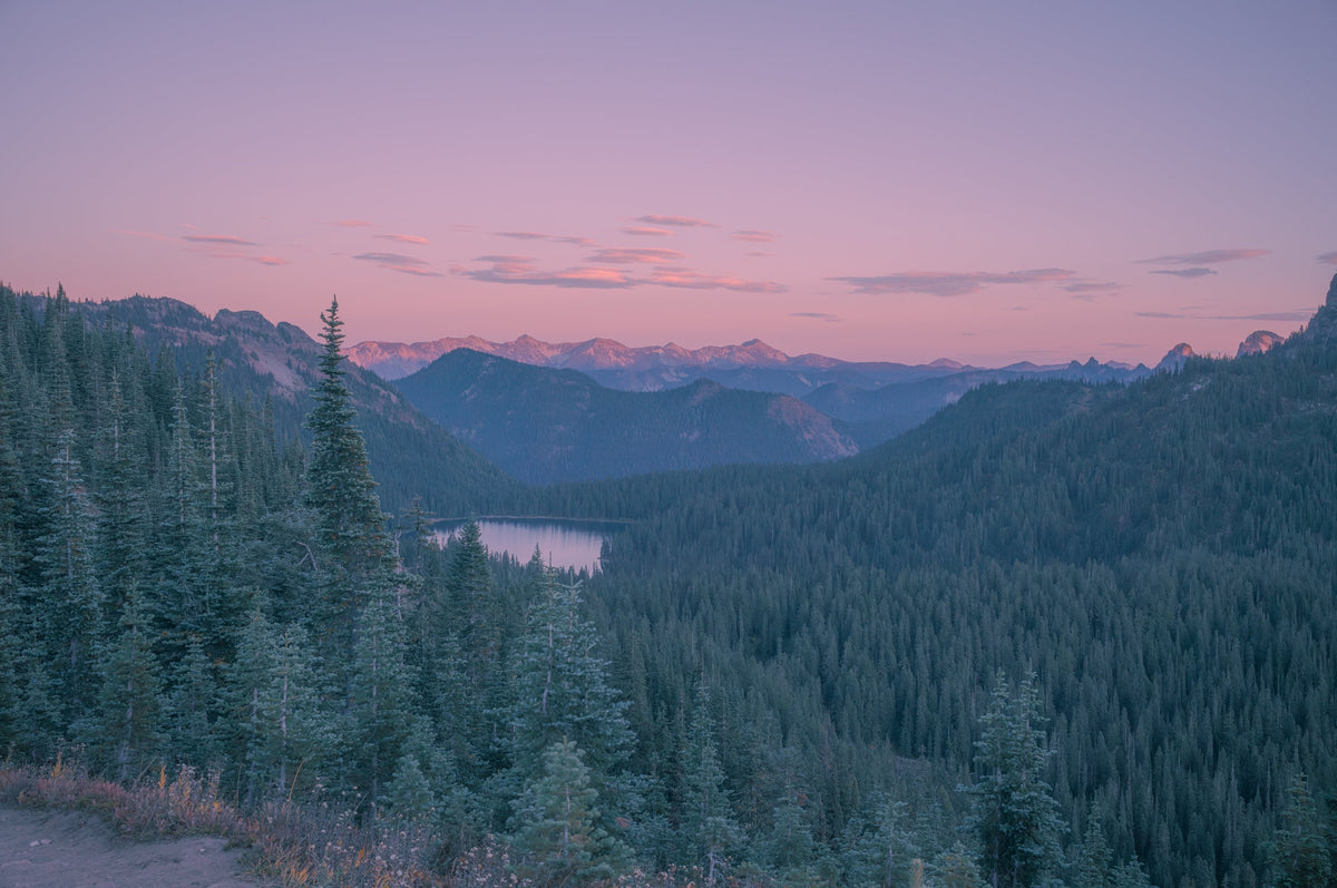 Alpenglow Postcard