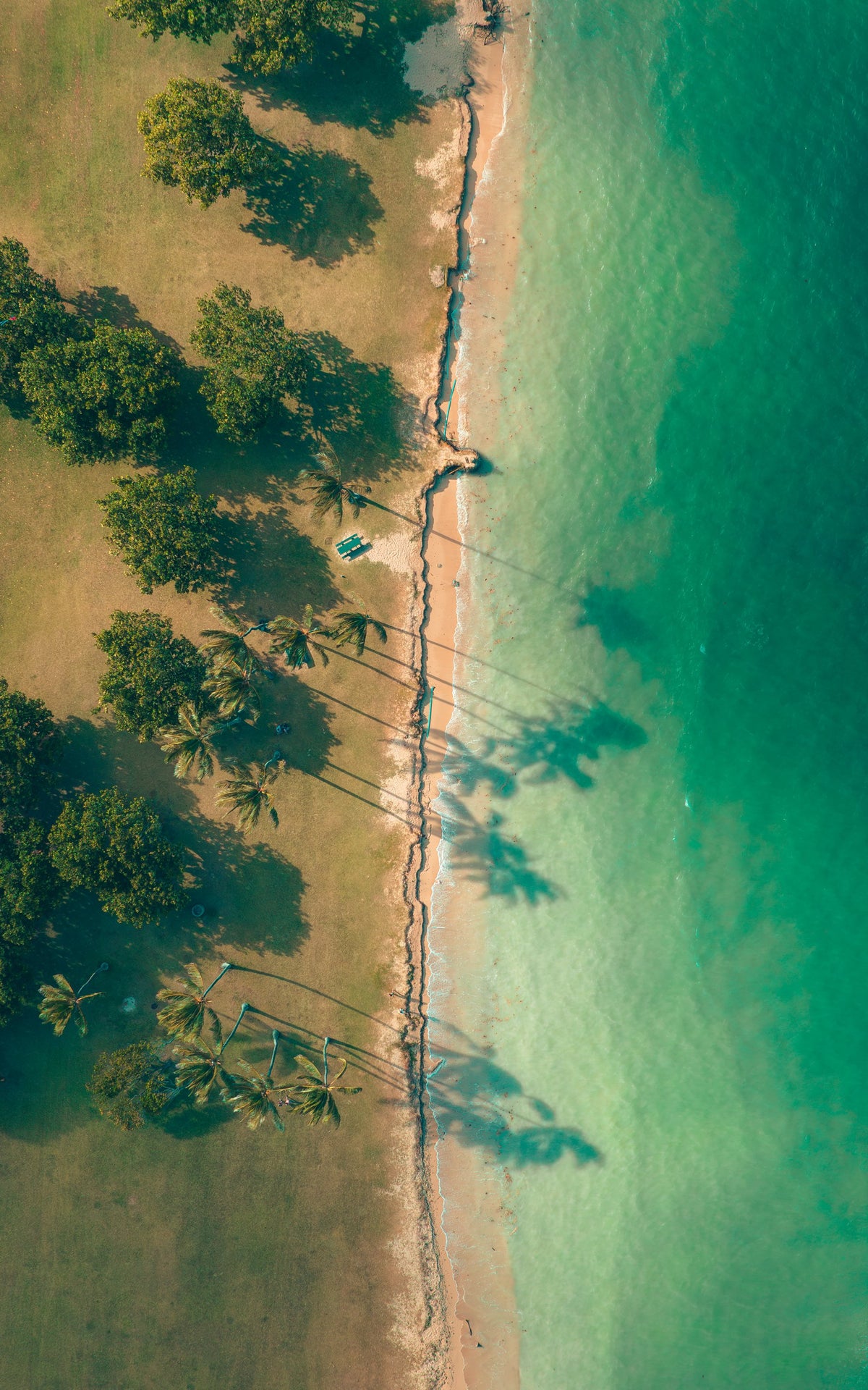 From Above