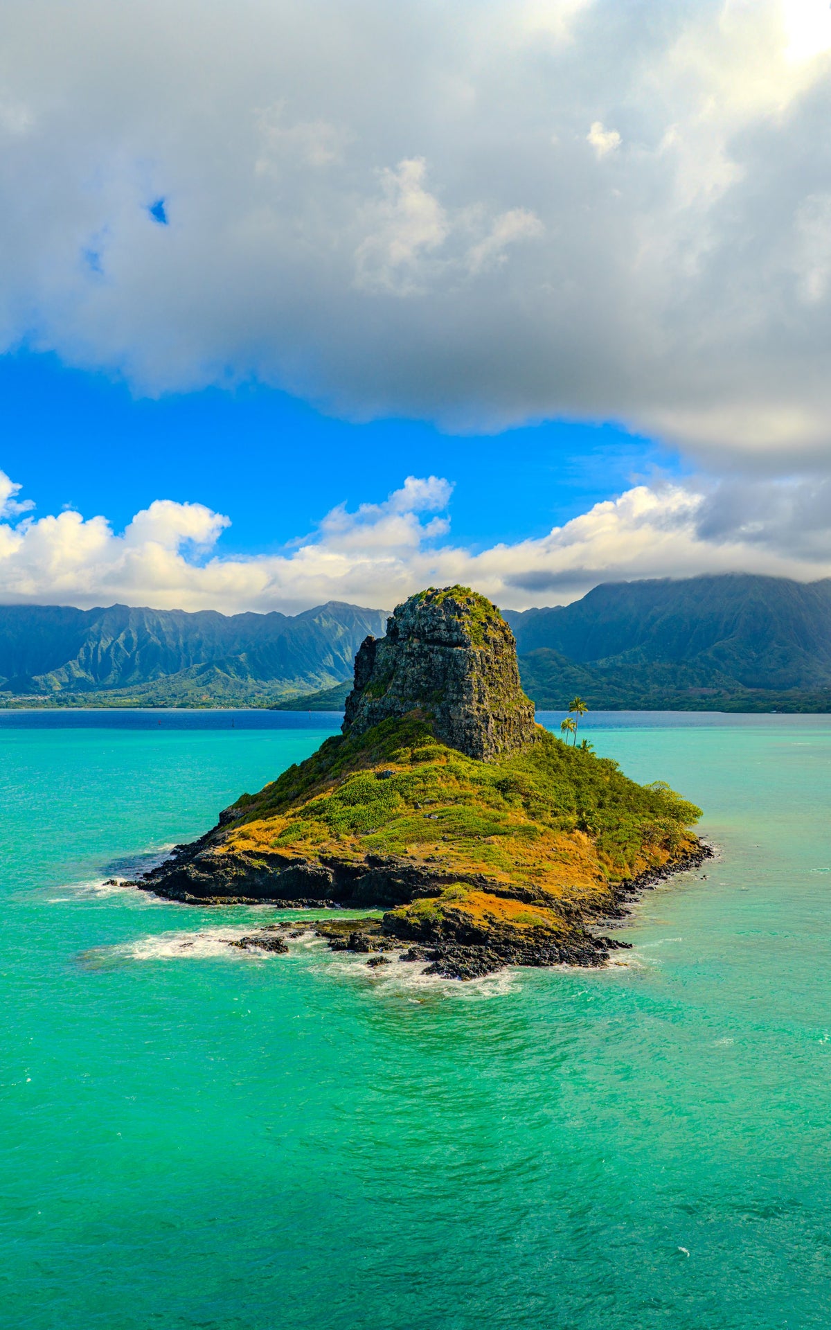 Koʻolau Blue