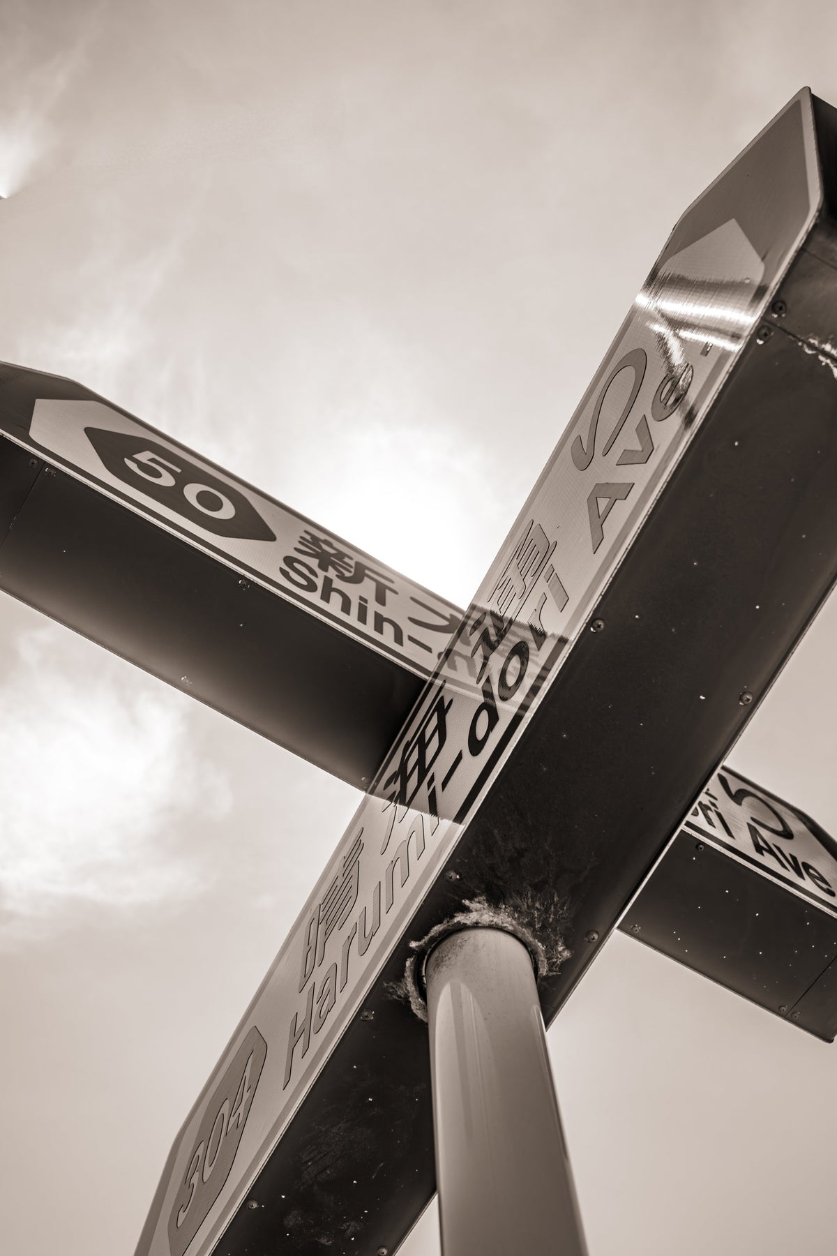 Two street signs crossing against a sepia sky