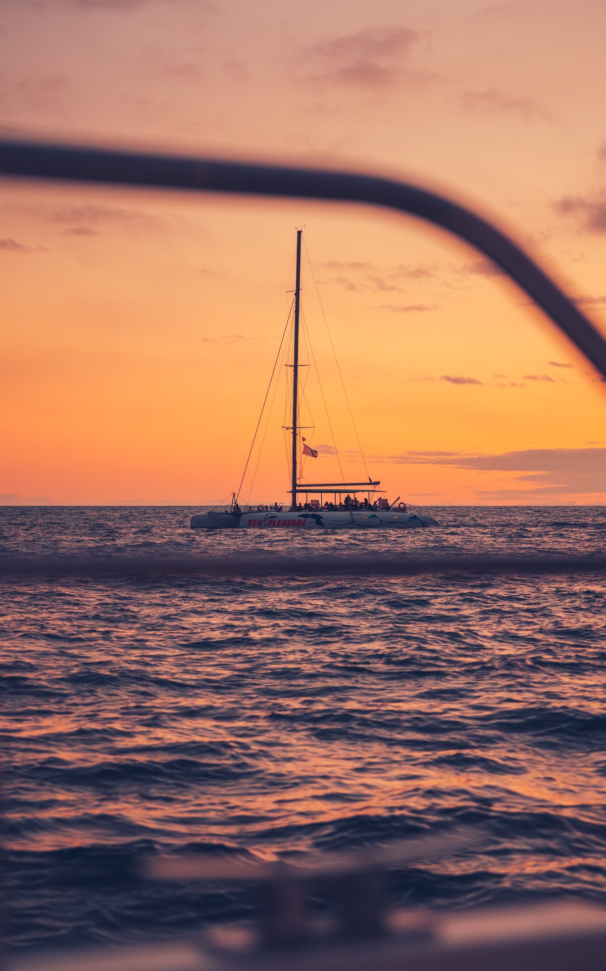 A sailboat on a gold and violet sea at sunset off Madeira, Portugal