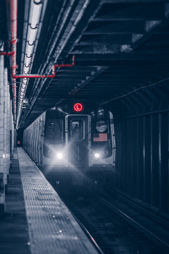 The L