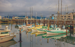 The Fleet