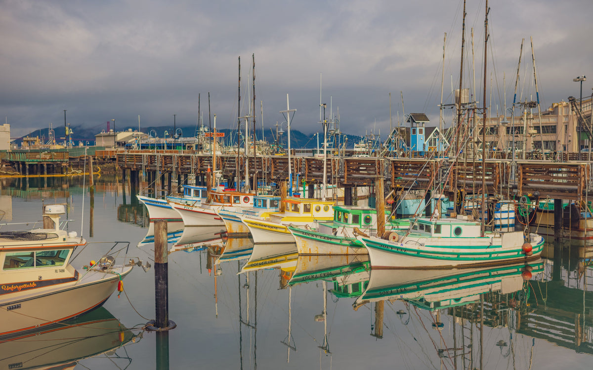 The Fleet