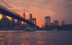 Dumbo